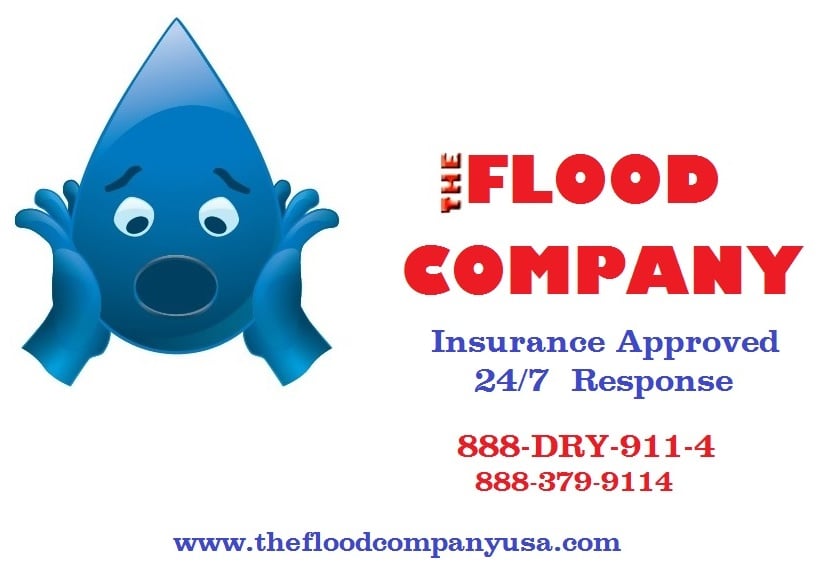 Photo of The Flood Company