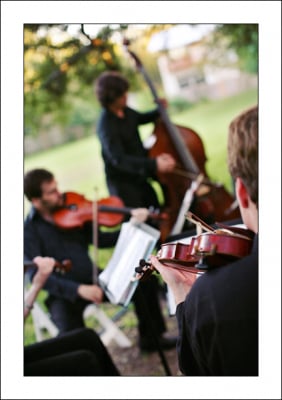 Photo of Will Taylor & Strings Attached