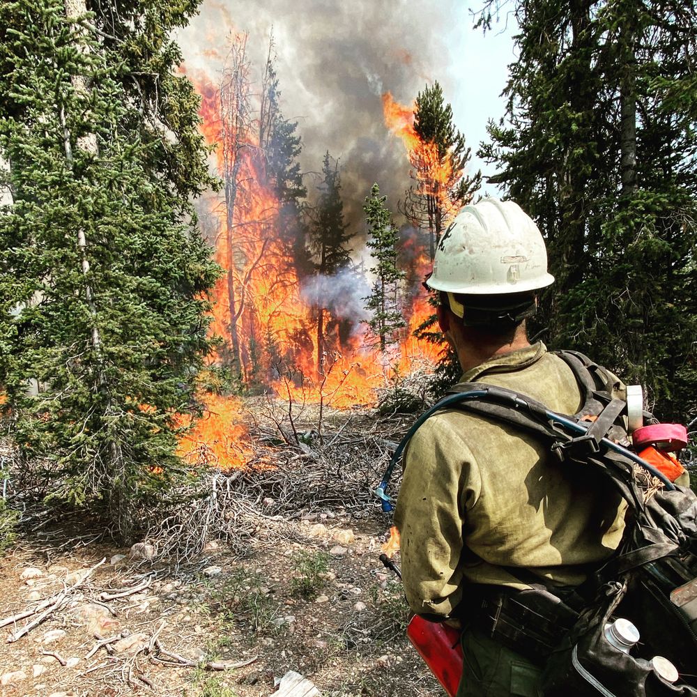 Photo of Pelican Wildfire Consulting