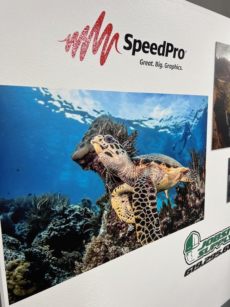 Photo of SpeedPro San Diego