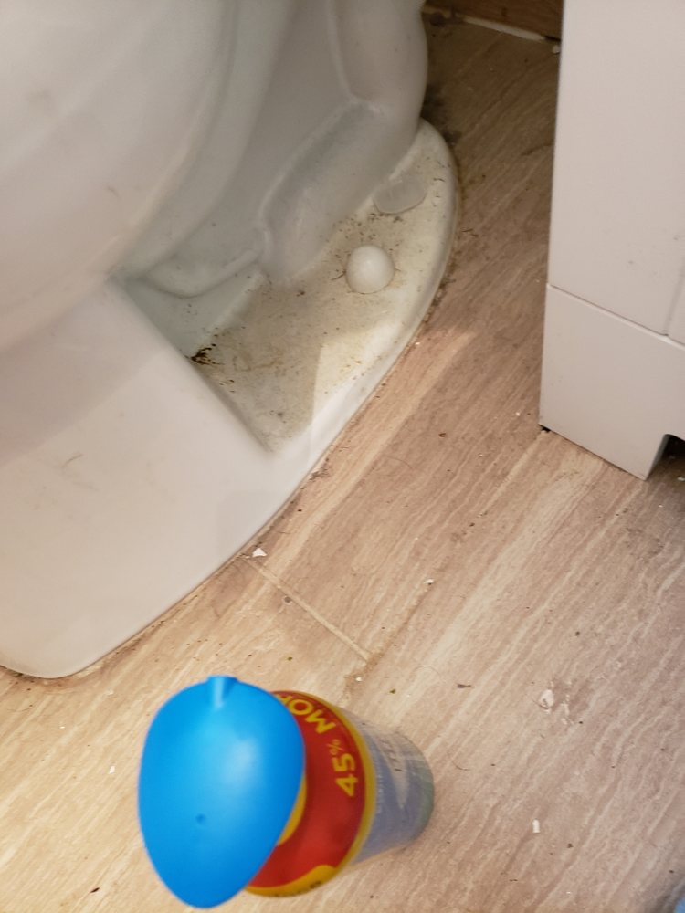 Photo of A & A Pro Cleaning Services