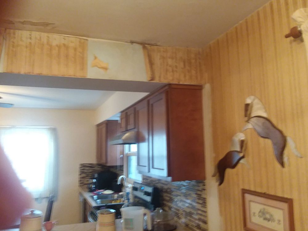 Photo of Steven Cannon Elite Services And Mold Remediation