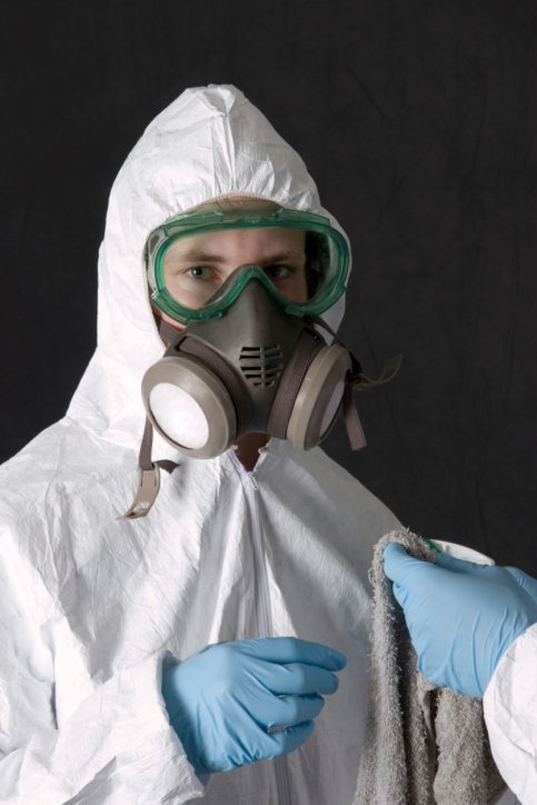 Photo of Steven Cannon Elite Services And Mold Remediation