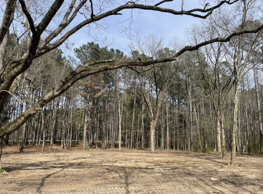 Photo of Solid Ground Dirt