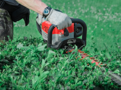 Photo of C&B Tree Service & Lawn Care