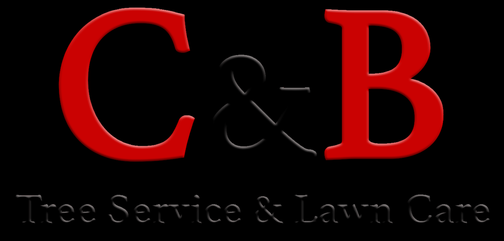 Photo of C&B Tree Service & Lawn Care