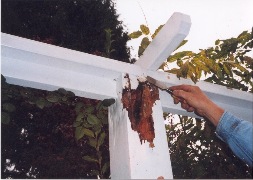 Photo of Wood Care Systems