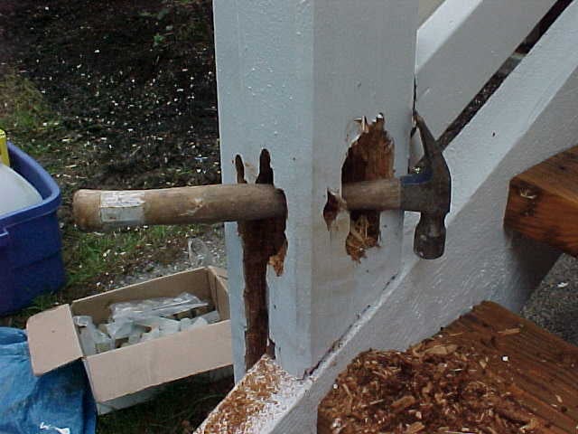 Photo of Wood Care Systems