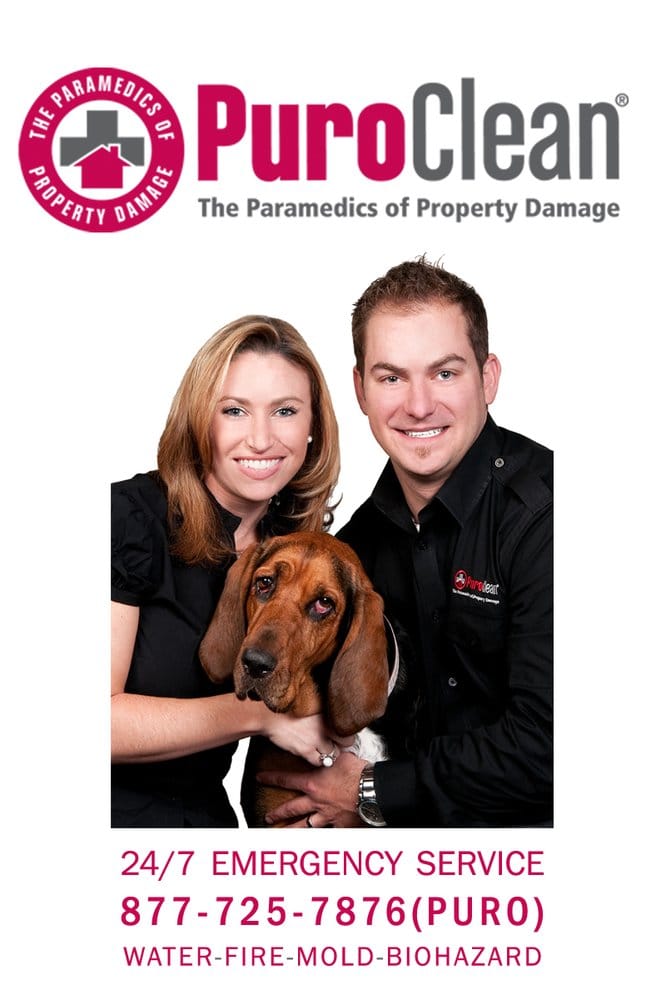 Photo of PuroClean Emergency Restoration Specialists