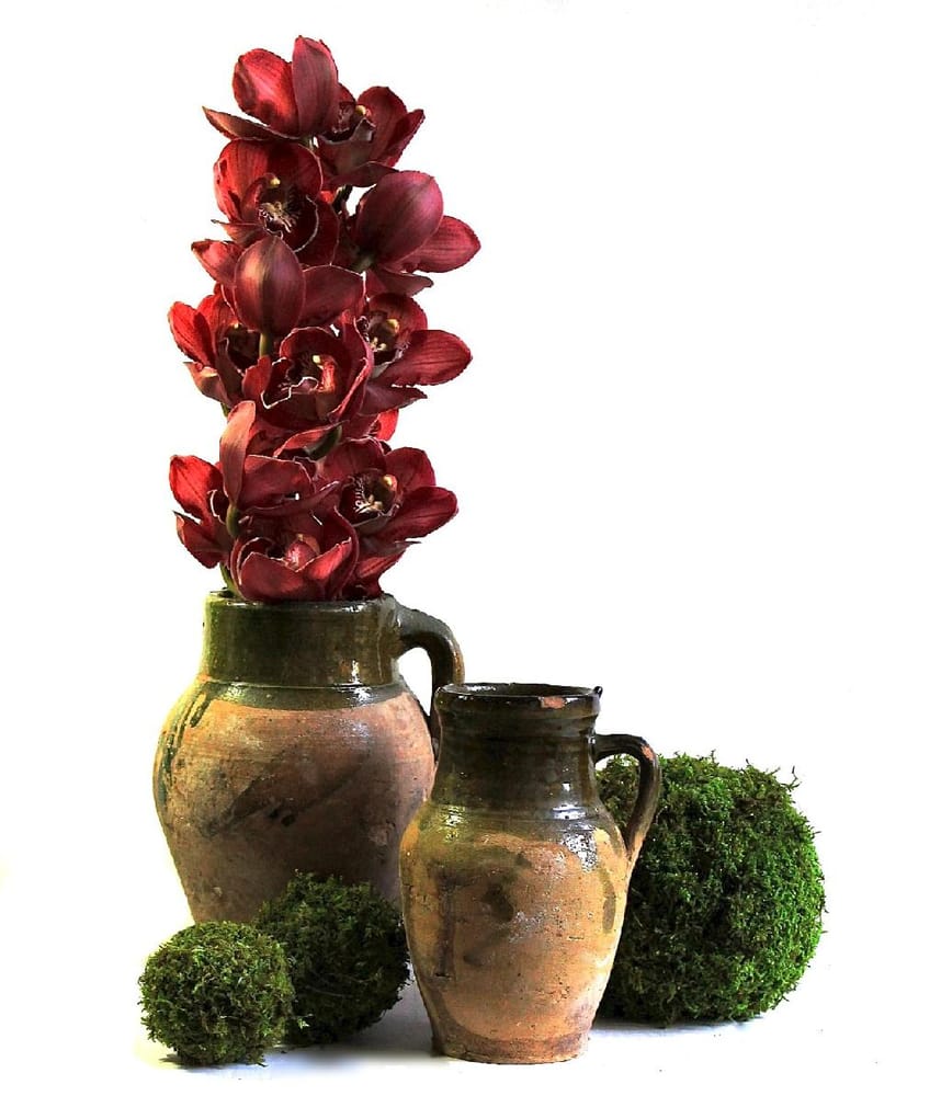 Photo of Flowers For The People
