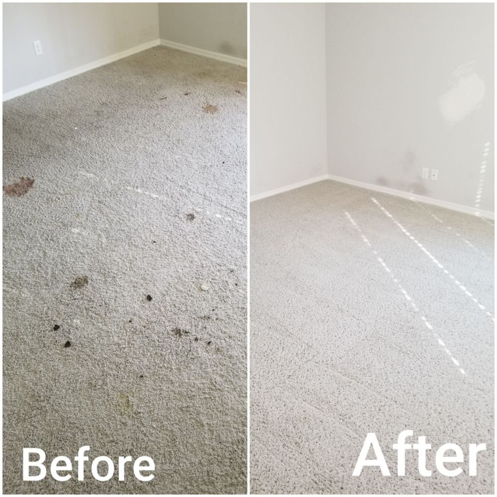 Photo of Combat Carpet & Tile Cleaning