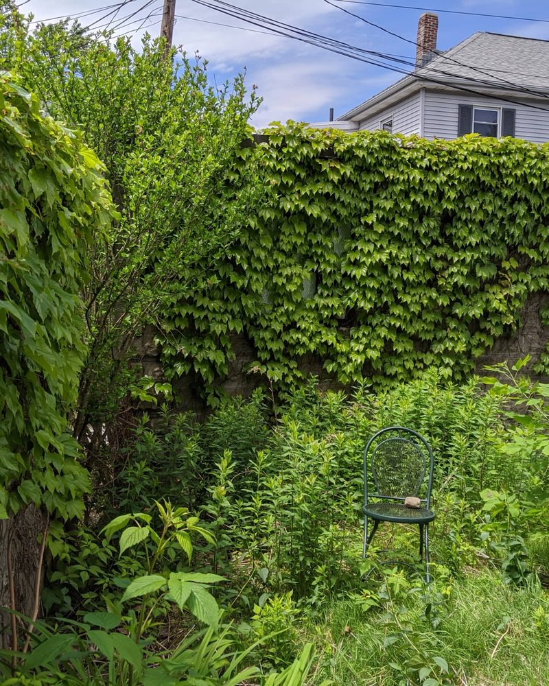 Photo of Pemberton Garden Services