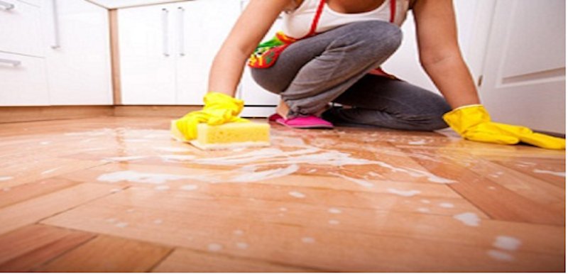 Photo of Cida's House Cleaning