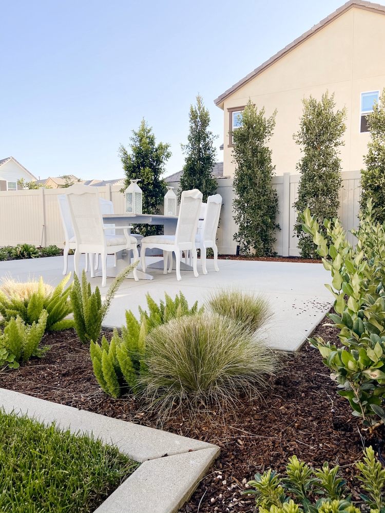 Photo of Total Landscape Designs & Development