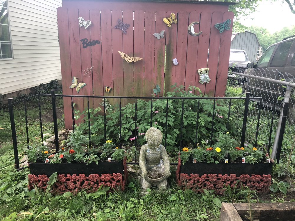 Photo of Everybody's Favorite Deck Guy