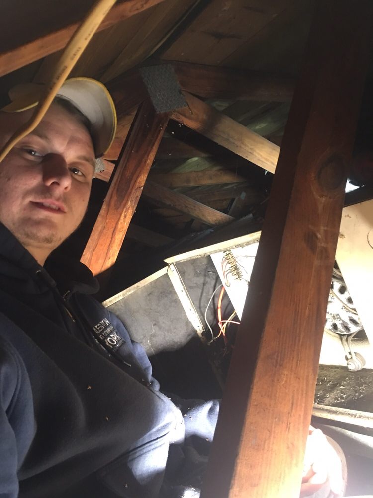Photo of Charleston Heating