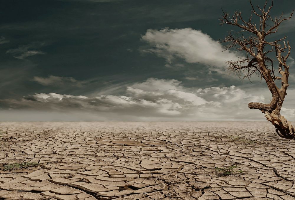 Photo of Grant Writers of Edmond