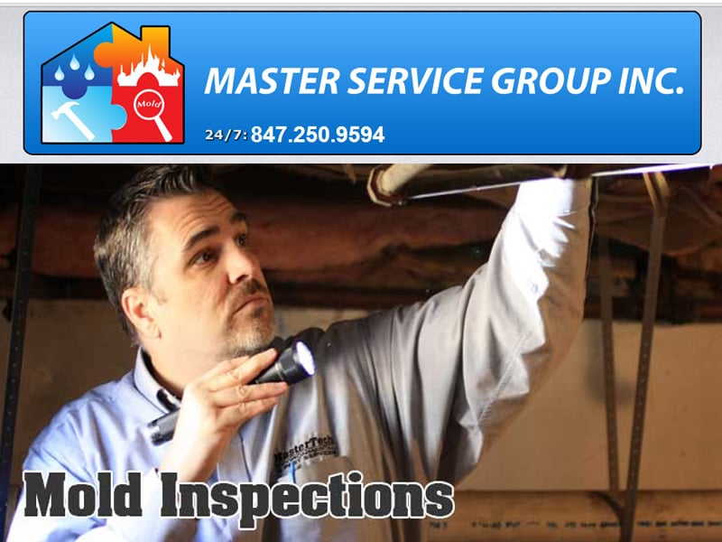 Photo of Master Service Group
