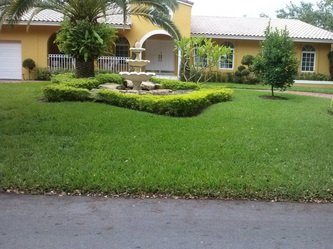 Photo of Amarildho L Ingaroca Lawn Service and Landscaping