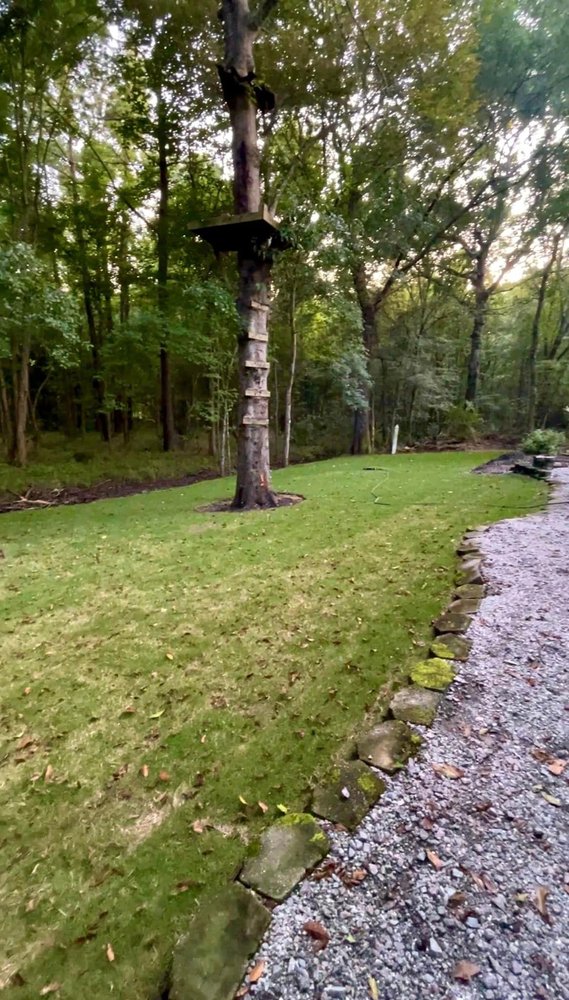 Photo of Feria Landscape Concepts