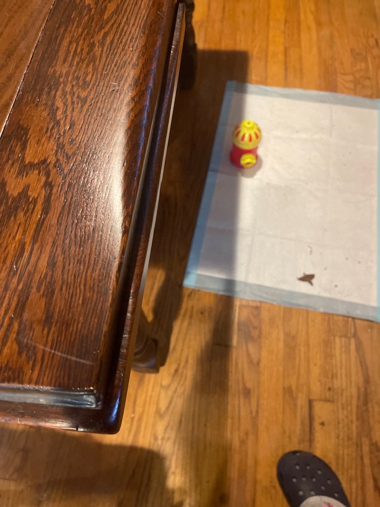 Photo of Gallo Furniture Refinishing & Repair