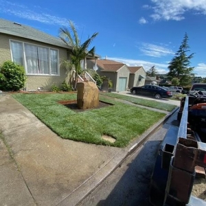 Photo of Eduardo's Landscaping