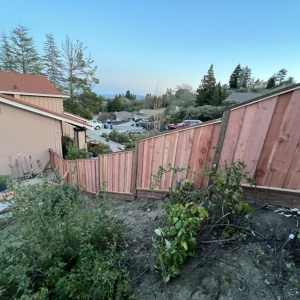 Photo of Eduardo's Landscaping