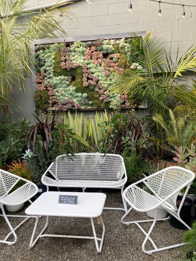 Photo of Dig Gardens