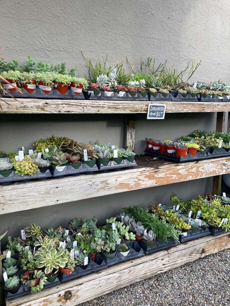 Photo of Dig Gardens
