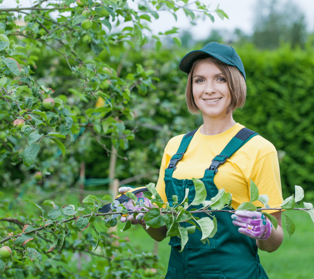 Photo of Gordon's Tree & Contracting Enterprises