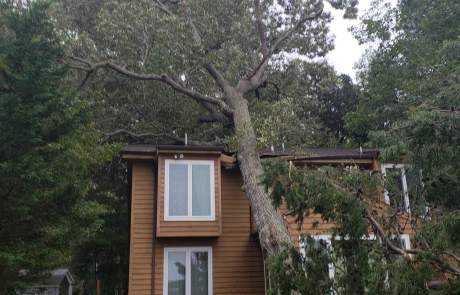 Photo of Gordon's Tree & Contracting Enterprises