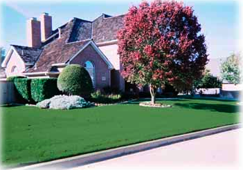 Photo of Becoming Lawns