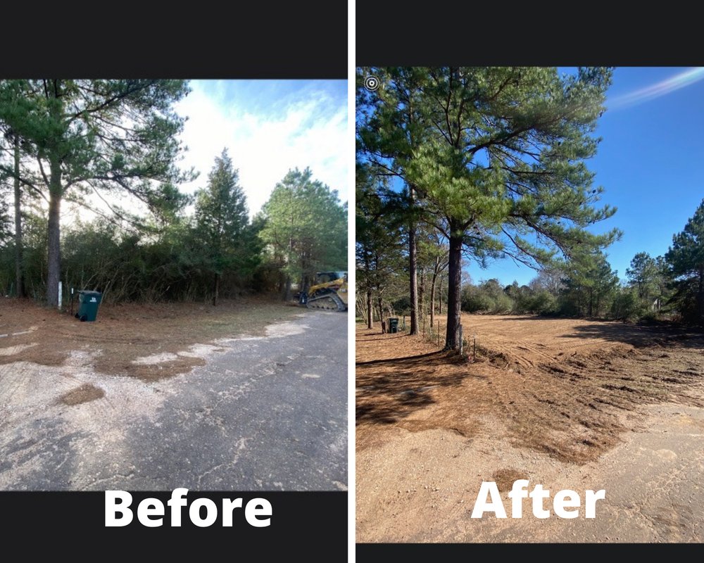 Photo of Land Worth Clearing