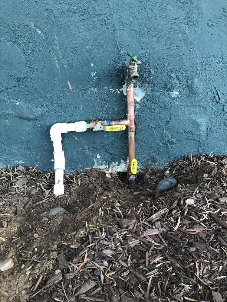 Photo of Plumbing Tree
