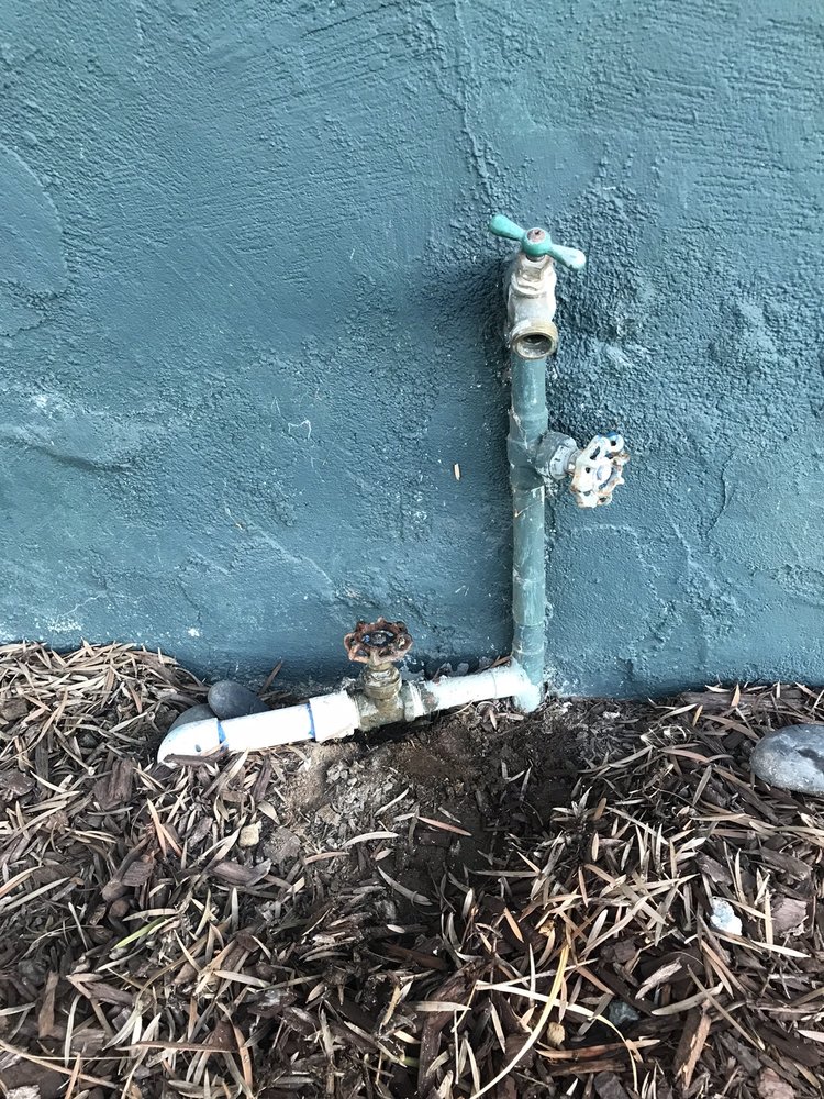 Photo of Plumbing Tree