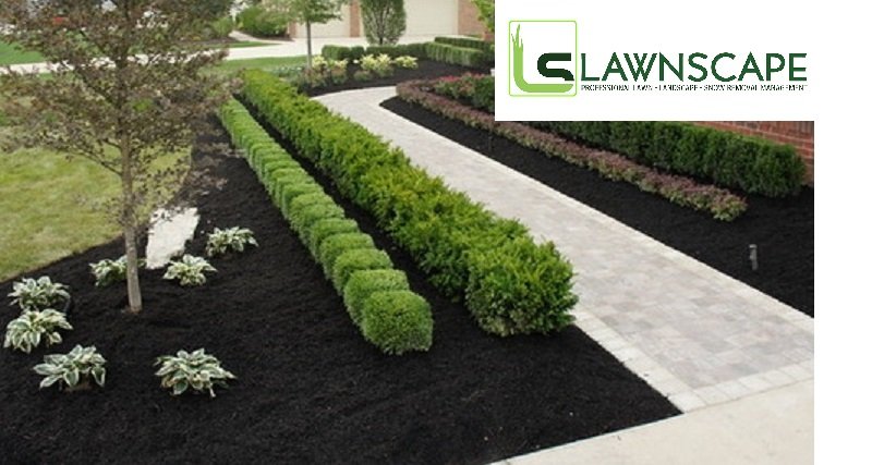 Photo of LawnScape