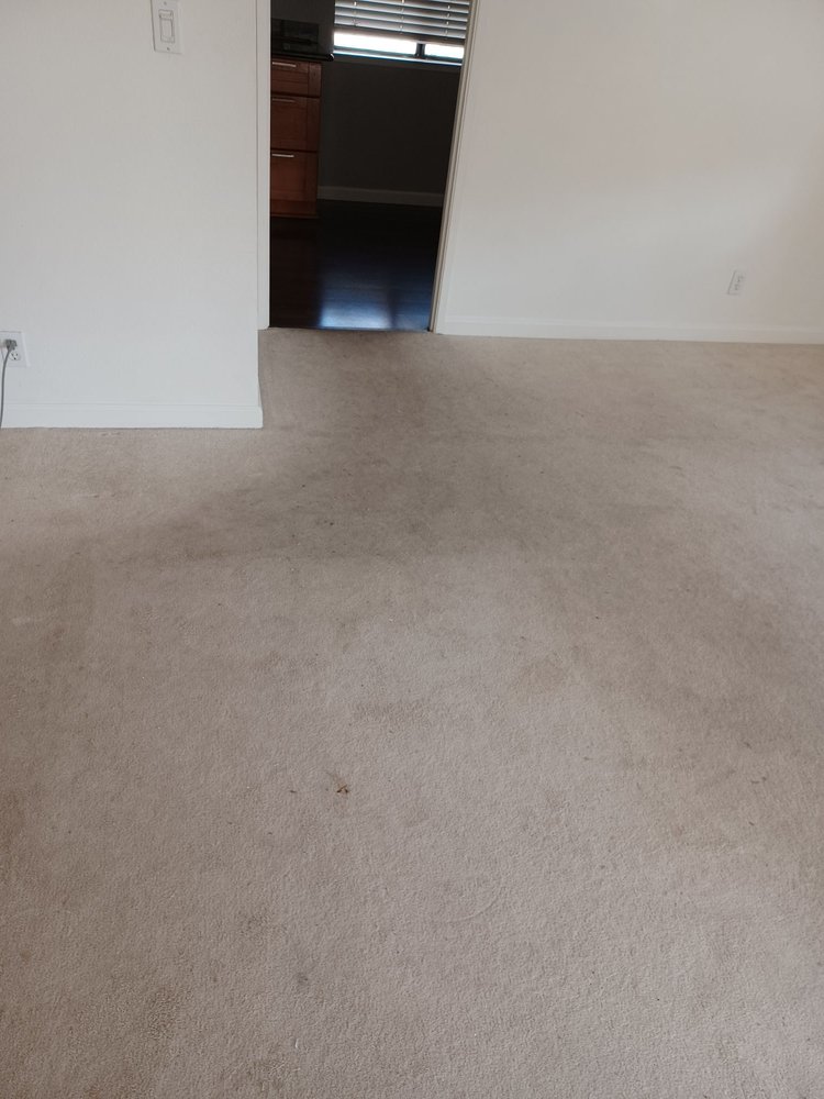 Photo of Sunnyvale Carpet Cleaners
