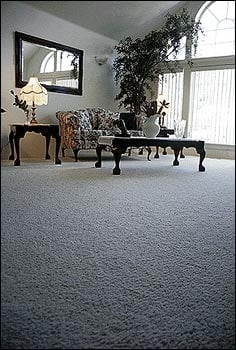 Photo of Waggoner Carpets
