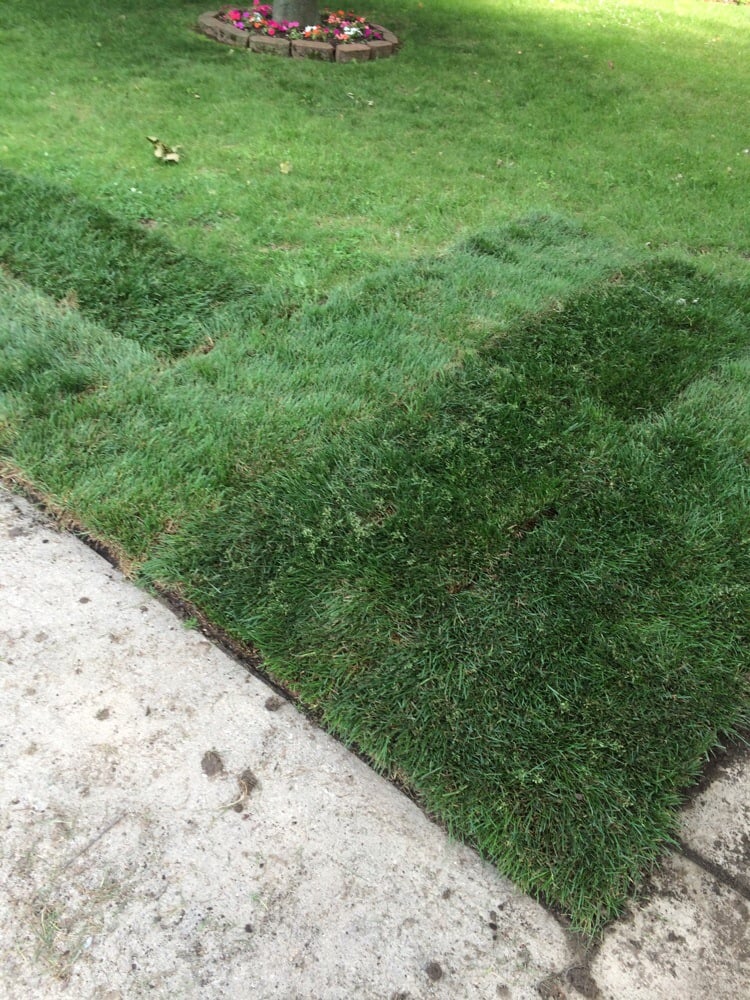 Photo of Hillcrest Sod Farm