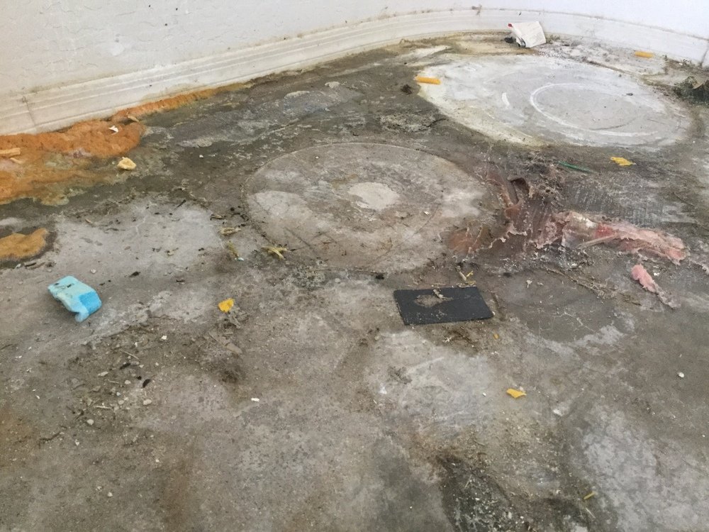 Photo of Dry Force Water Removal Specialists