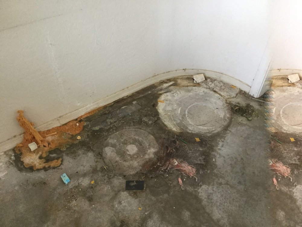 Photo of Dry Force Water Removal Specialists