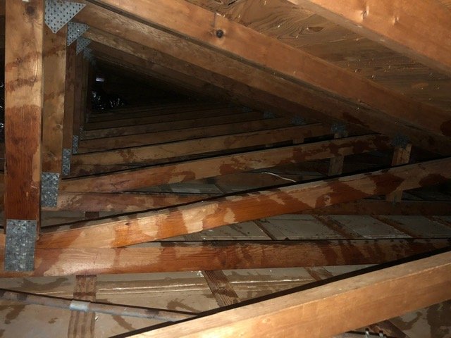 Photo of AttiClean