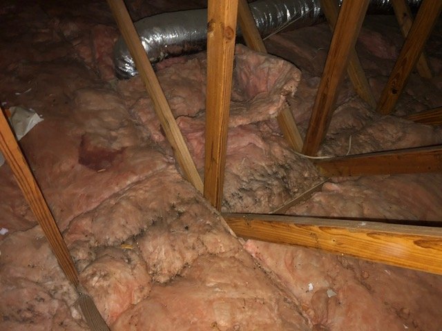 Photo of AttiClean