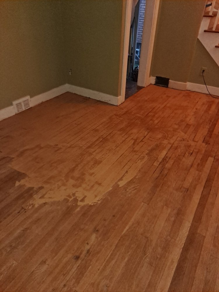 Photo of Frank Pelone Painting and Handyman Services