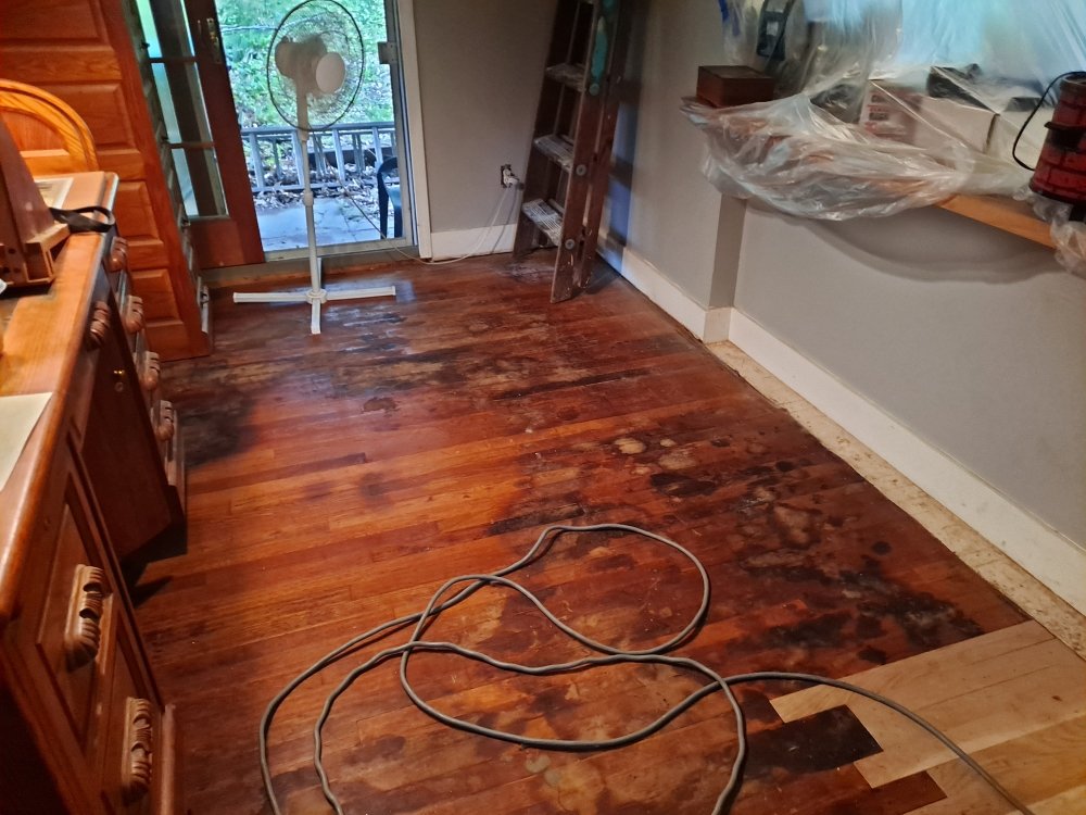 Photo of Frank Pelone Painting and Handyman Services