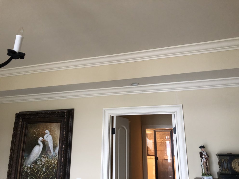 Photo of Pro Painters