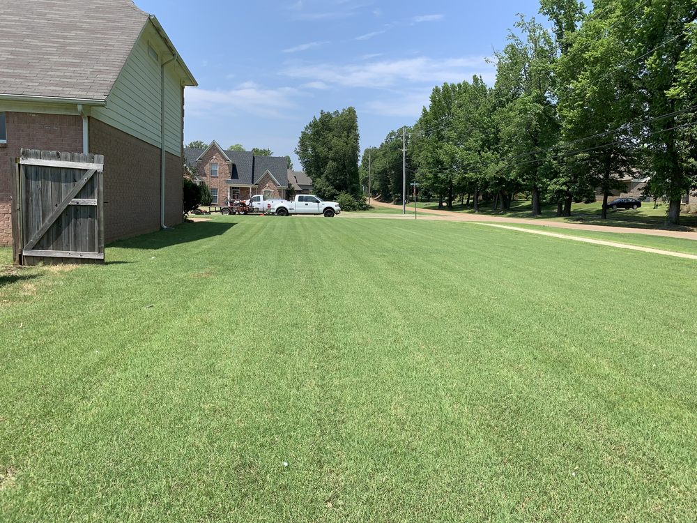 Photo of Buena Vista Lawn Care