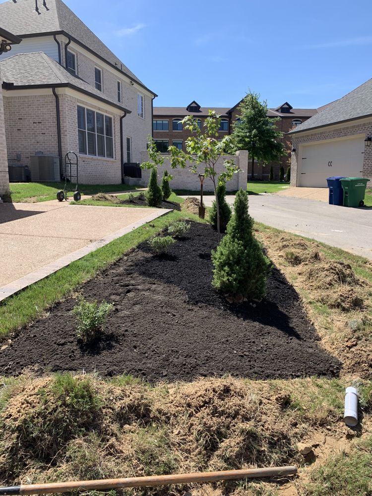 Photo of Buena Vista Lawn Care