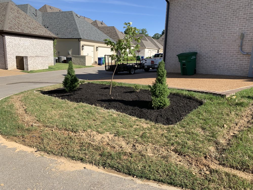 Photo of Buena Vista Lawn Care