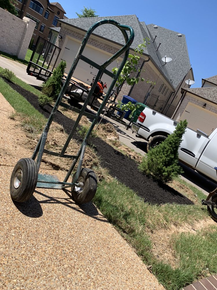 Photo of Buena Vista Lawn Care
